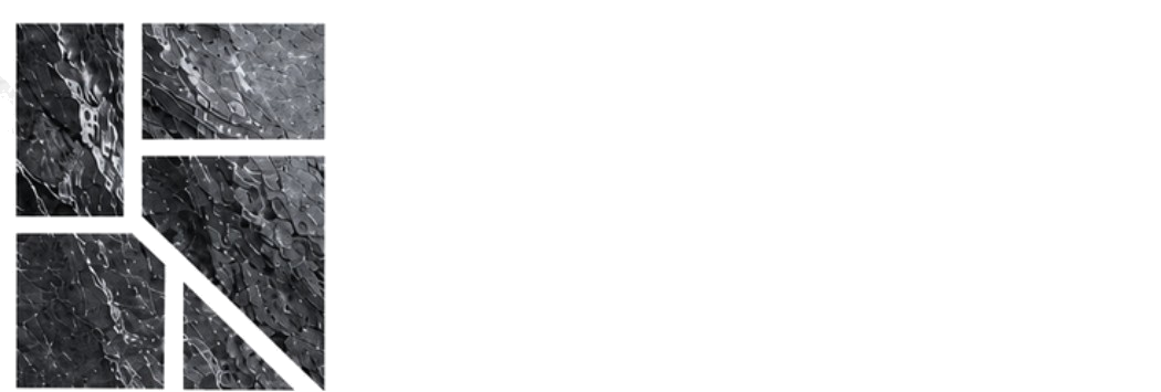 PEART REVÊTEMENTS, logotype original en pierre
